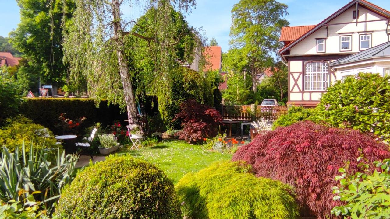 Fewo Am Wetzstein Wernigerode Dış mekan fotoğraf
